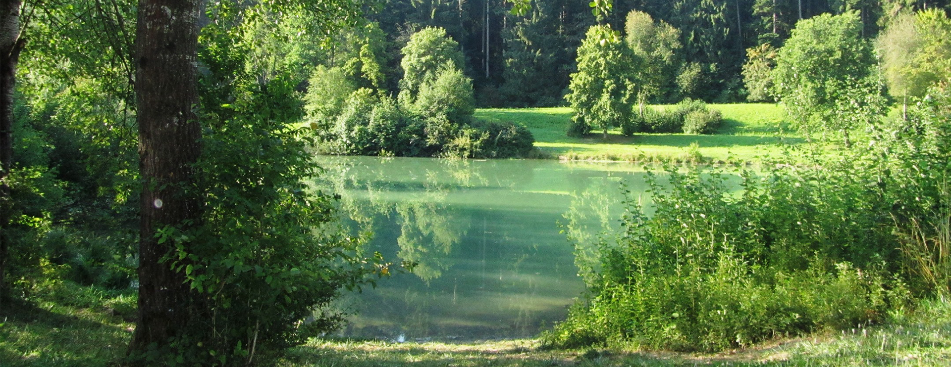 Hintergrundbilder der Gemeinde Waldachtal