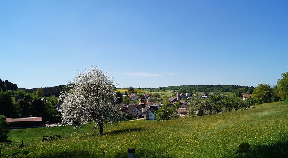 Blick auf Cresbach Blick auf Cresbach