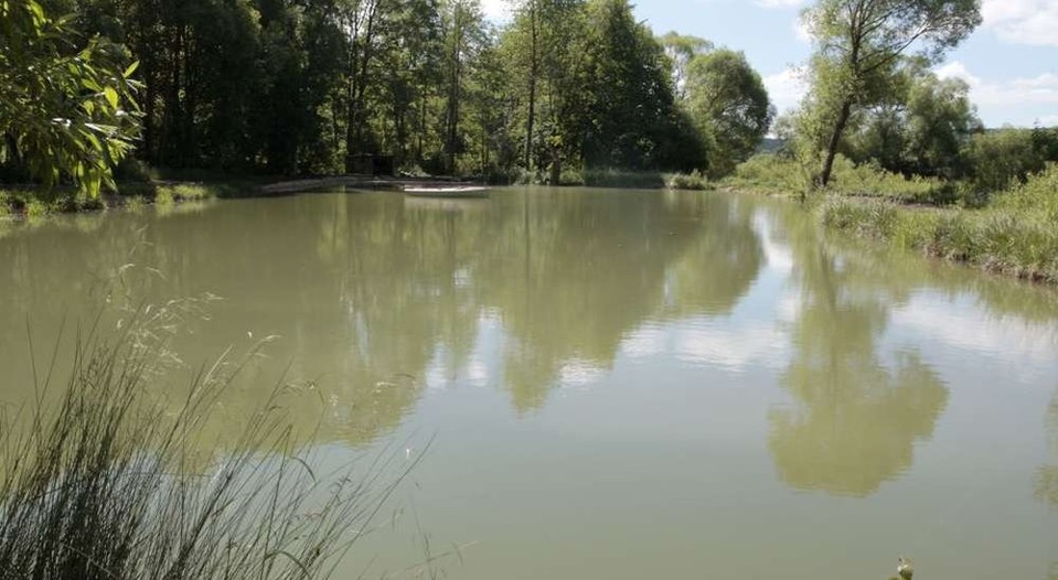See Salzstetten See Salzstetten